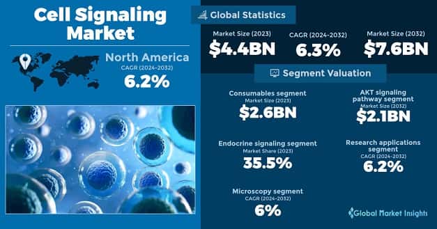 Cell Signaling Market