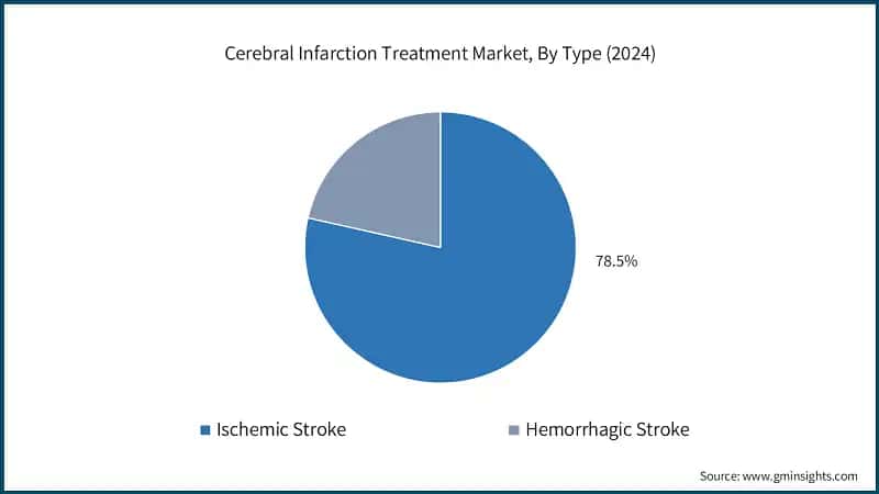 Cerebral Infarction Treatment Market, By Type (2024)