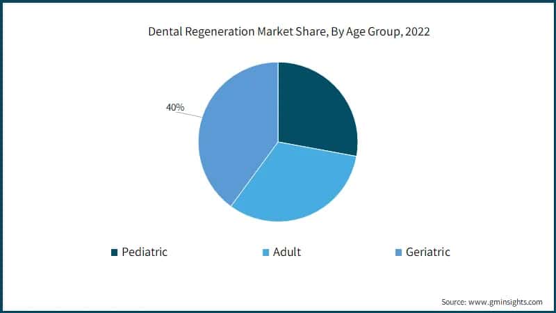 Dental Regeneration Market Share, By Age Group, 2022