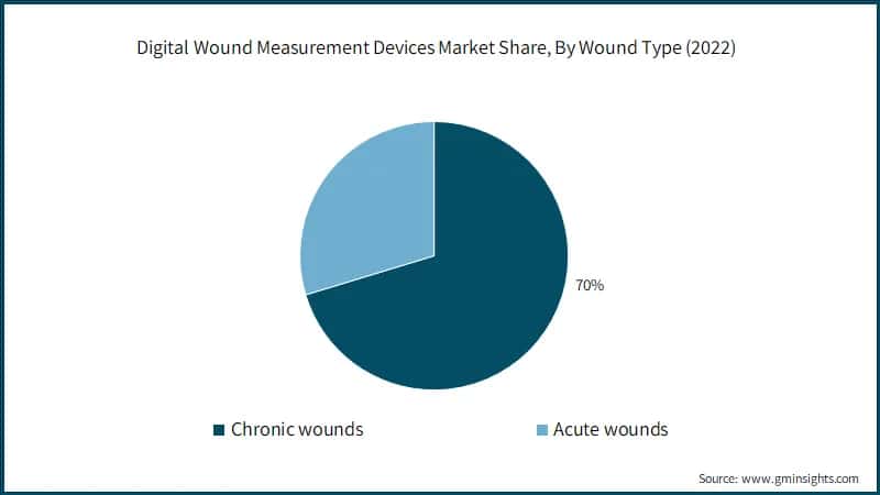 Digital Wound Measurement Devices Market Share, By Wound Type (2022)