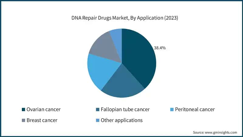 DNA Repair Drugs Market, By Application (2023)