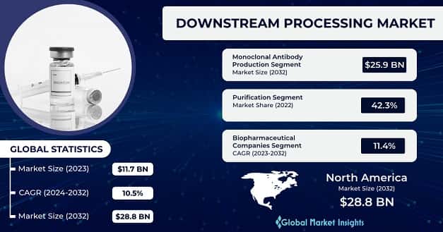 Downstream Processing Market 
