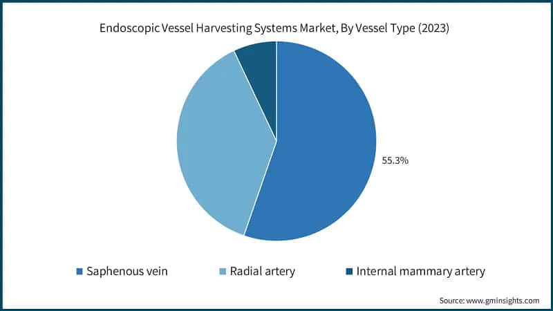 Endoscopic Vessel Harvesting Systems Market, By Vessel Type (2023)