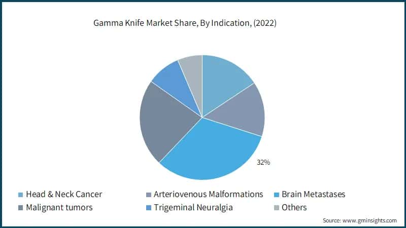 Gamma Knife Market Share, By Indication, (2022)