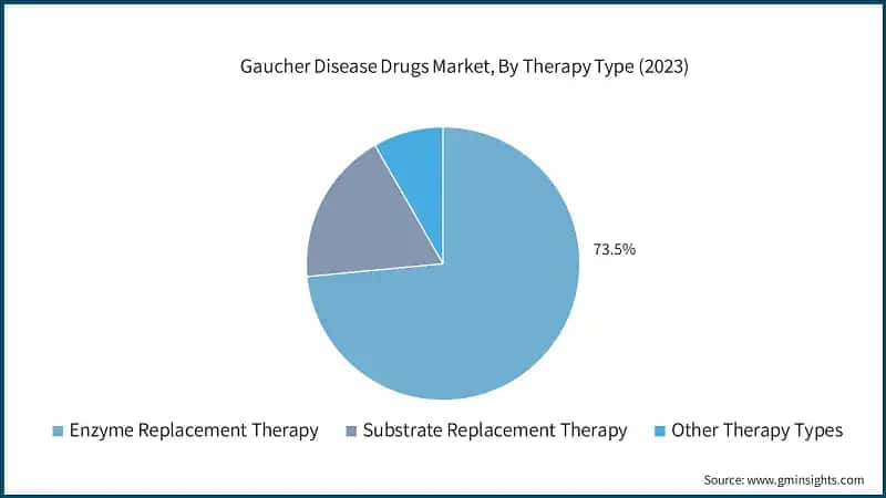 Gaucher Disease Drugs Market, By Therapy Type (2023)