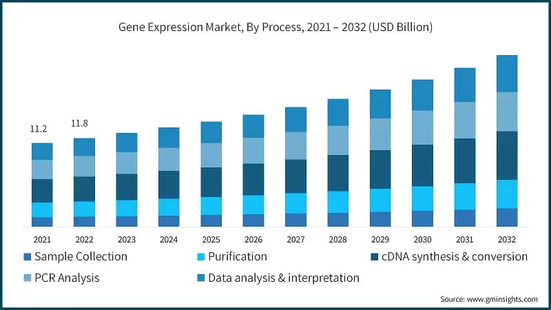 Gene Expression Market, By Process, 2021 – 2032 (USD Billion)