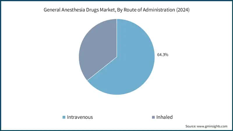 General Anesthesia Drugs Market, By Route of Administration (2024)