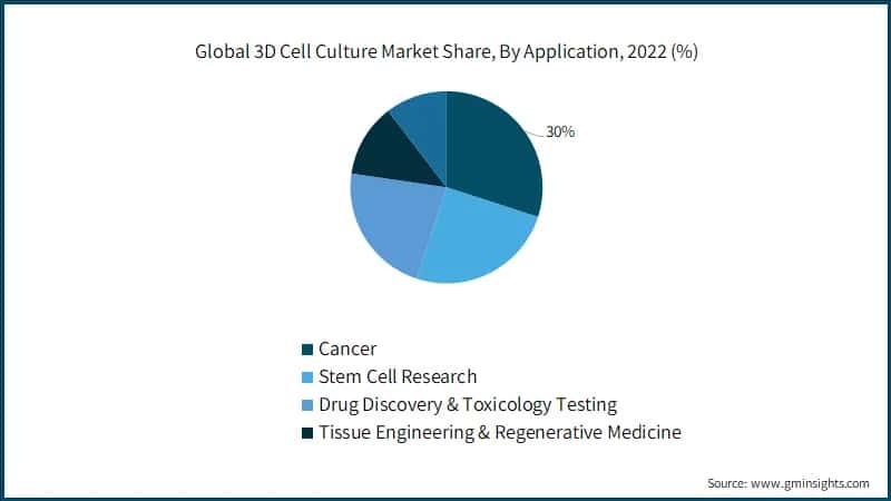 Global 3D Cell Culture Market Share, By Application, 2022 