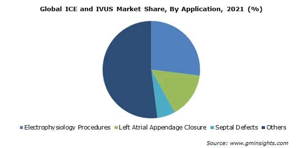 Global ICE and IVUS Market Share By Application