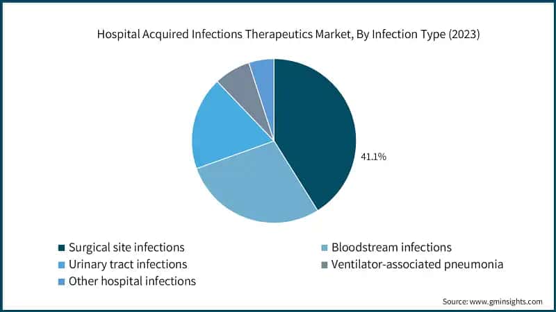 Hospital Acquired Infections Therapeutics Market, By Infection Type (2023)
