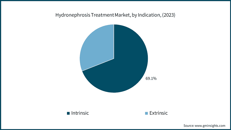 Hydronephrosis Treatment Market, by Indication, (2023)