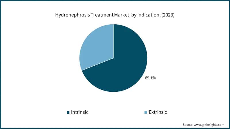 Hydronephrosis Treatment Market, by Indication, (2023)