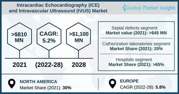 Intracardiac Echocardiography (ICE) and Intravascular Ultrasound (IVUS) Market Overview