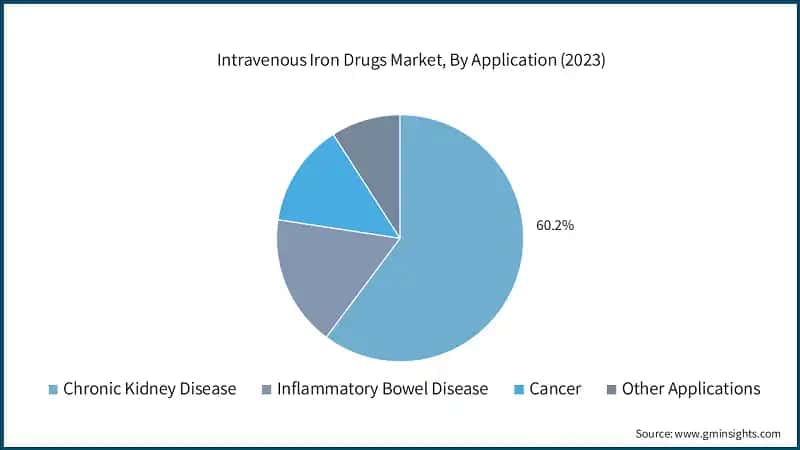 Intravenous Iron Drugs Market, By Application (2023)