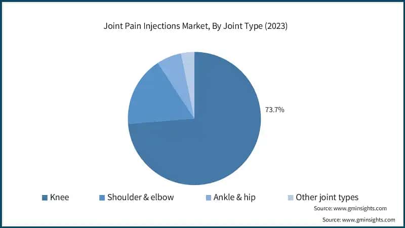 Joint Pain Injections Market, By Joint Type (2023)