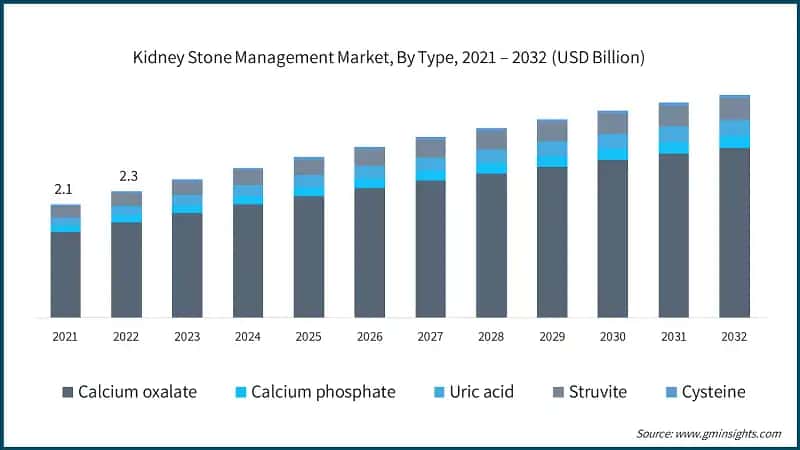 Kidney Stone Management Market, By Type, 2021 – 2032 (USD Billion)