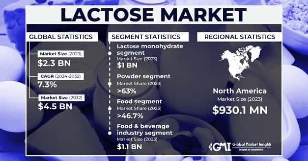 Lactose Market
