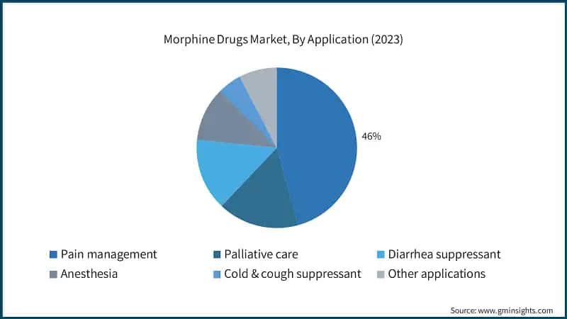 Morphine Drugs Market, By Application (2023)