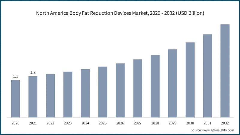 North America Body Fat Reduction Devices Market, 2020 - 2032 (USD Billion)