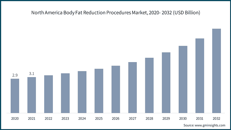 North America Body Fat Reduction Procedures Market, 2020- 2032 (USD Billion)