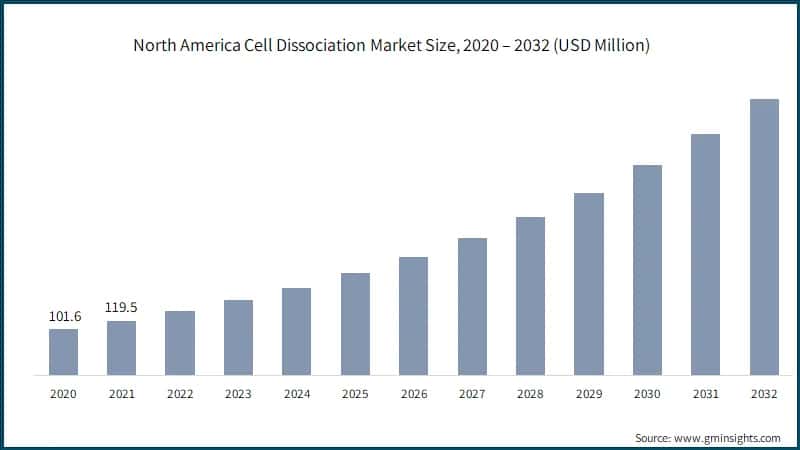 North America Cell Dissociation Market Size, 2020 – 2032 (USD Million)