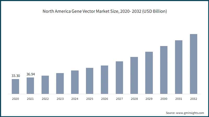 North America Gene Vector Market Size, 2020- 2032 (USD Billion)