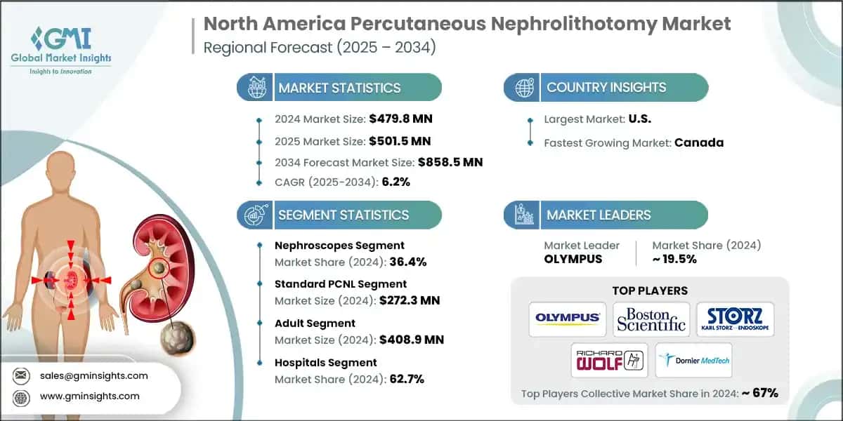 North America Percutaneous Nephrolithotomy Market