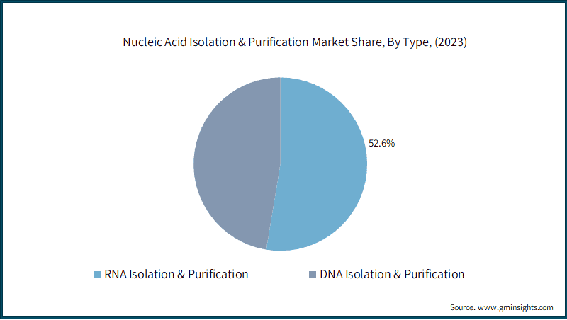 Nucleic Acid Isolation & Purification Market Share, By Type, (2023)