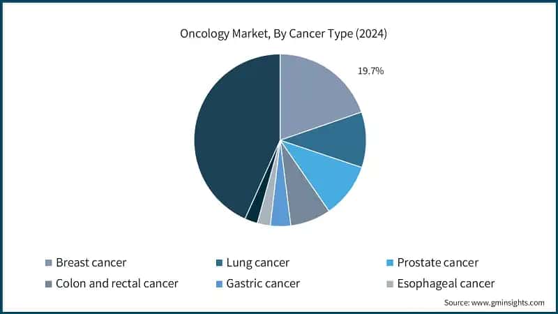 Oncology Market, By Cancer Type (2024)