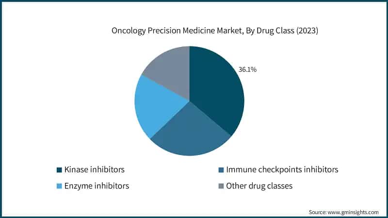 Oncology Precision Medicine Market, By Drug Class (2023)