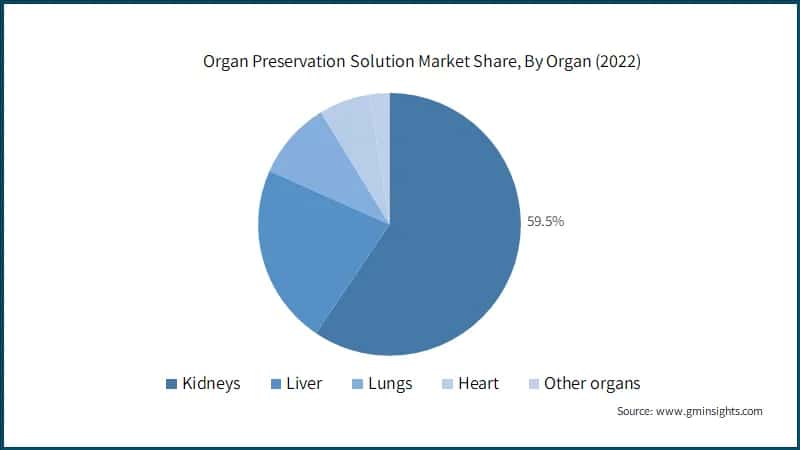Organ Preservation Solution Market Share, By Organ (2022)