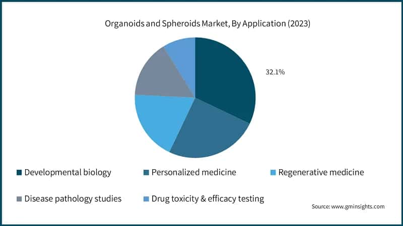 Organoids and Spheroids Market, By Application (2023)