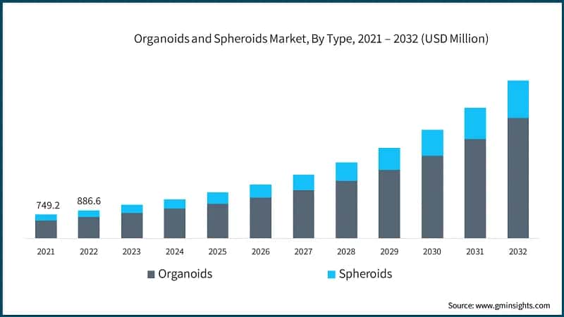 Organoids and Spheroids Market, By Type, 2021 – 2032 (USD Million)