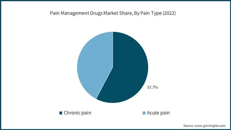 Pain Management Drugs Market Share, By Pain Type