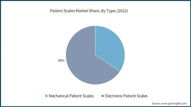 Patient Scales Market Share, By Type, (2022)