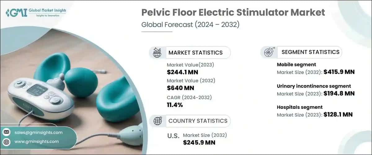 Pelvic Floor Electric Stimulator Market