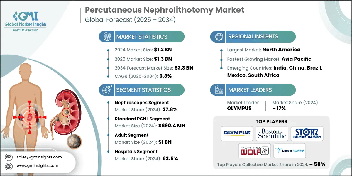 Percutaneous Nephrolithotomy Market