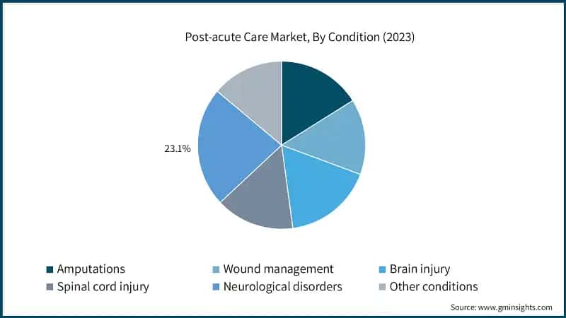 Post-acute Care Market, By Condition (2023)