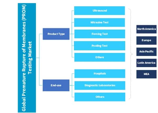 Premature Rupture of Membranes (PROM) Testing Market 