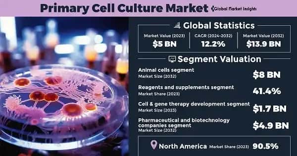 Primary Cell Culture Market
