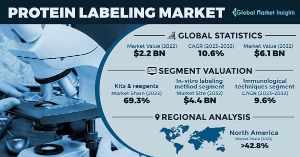 Protein Labeling Market 