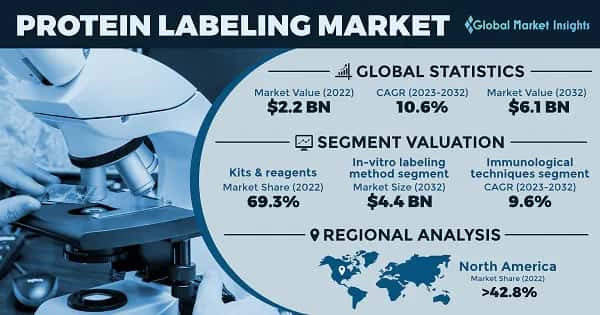 Protein Labeling Market 