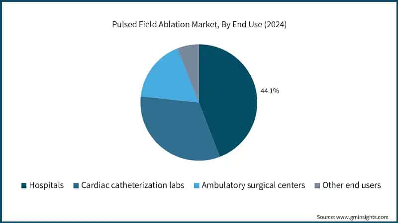 Pulsed Field Ablation Market, By End Use (2024)