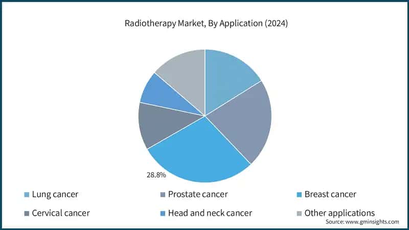 Radiotherapy Market, By Application (2024)