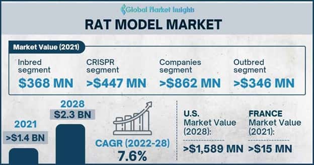 Rat Model Market Outlook
