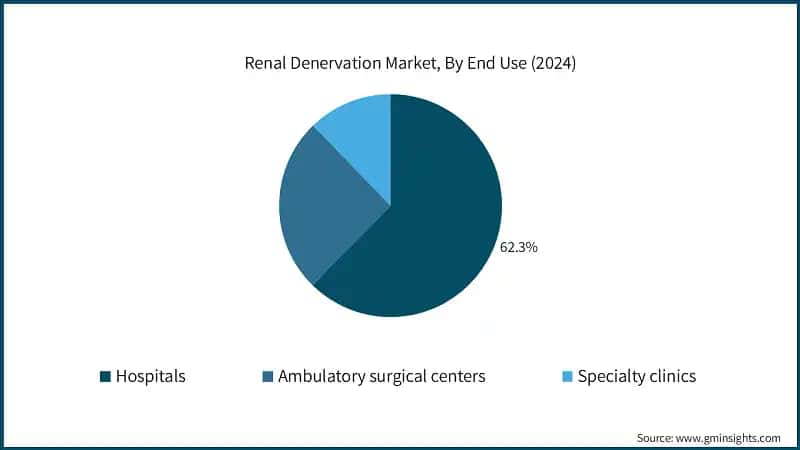 Renal Denervation Market, By End Use (2024)