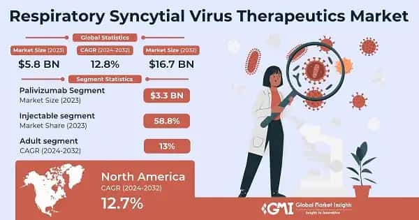 Respiratory Syncytial Virus Therapeutics