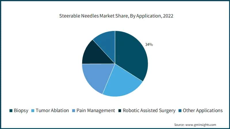 Steerable Needles Market Share, By Application, 2022