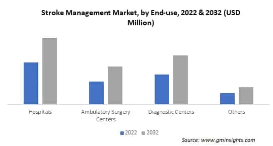 Stroke Management Market, by End-use