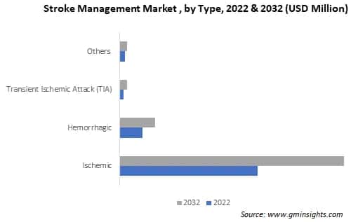 Stroke Management Market , by Type